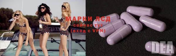 гидра Алексеевка