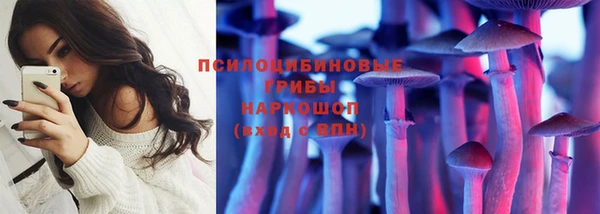 МДПВ Алзамай