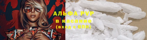 гидра Алексеевка