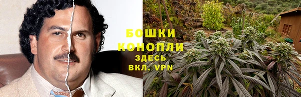 гидра Алексин