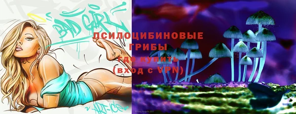 гидра Алексин