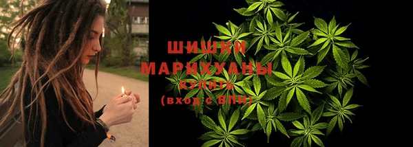 гидра Алексин